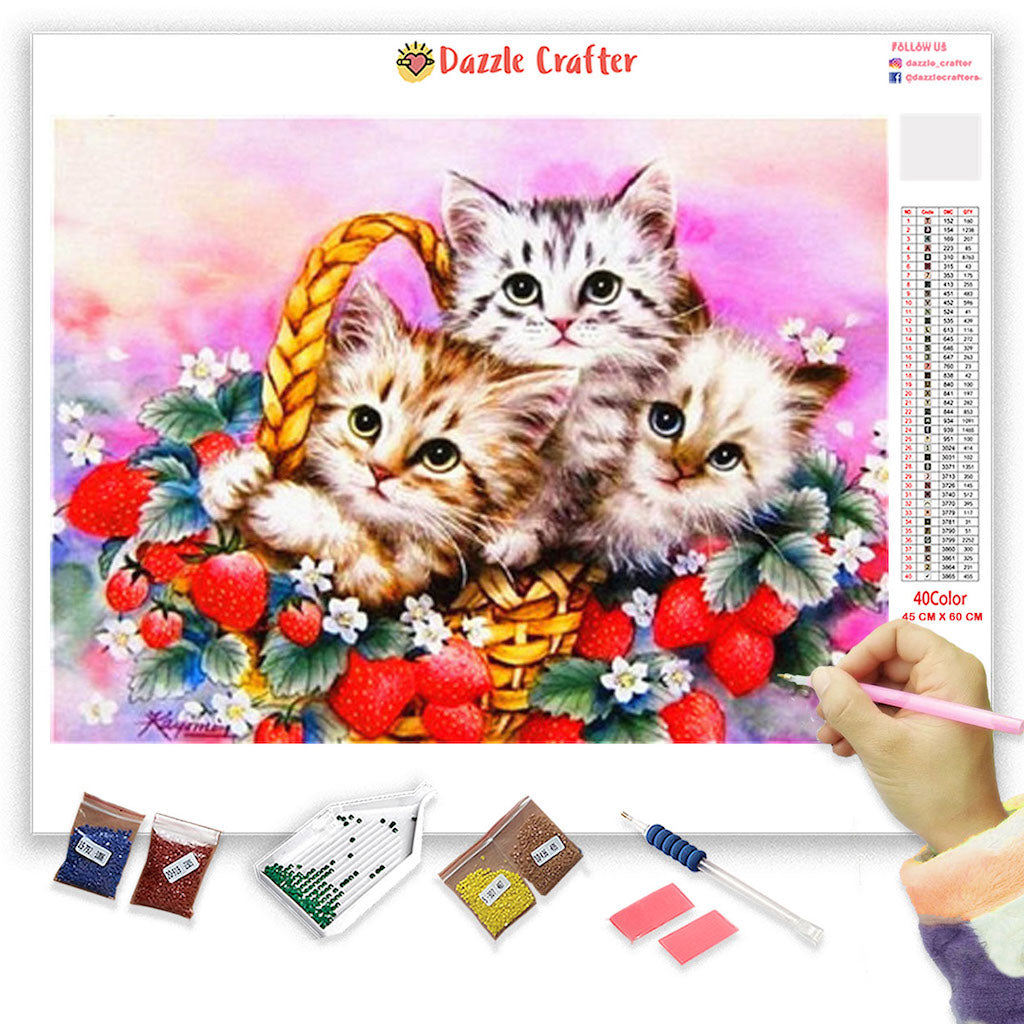 5D DIY My Diamond Art (Cat Valentine) Diamond Painting Kit (NEW)