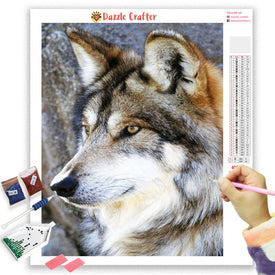 COLORFUL DOG 3 Diamond Painting Kit – DAZZLE CRAFTER