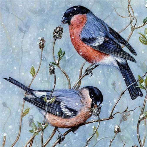 TWIN BIRDS & FLOWERS Diamond Painting Kit - DAZZLE CRAFTER